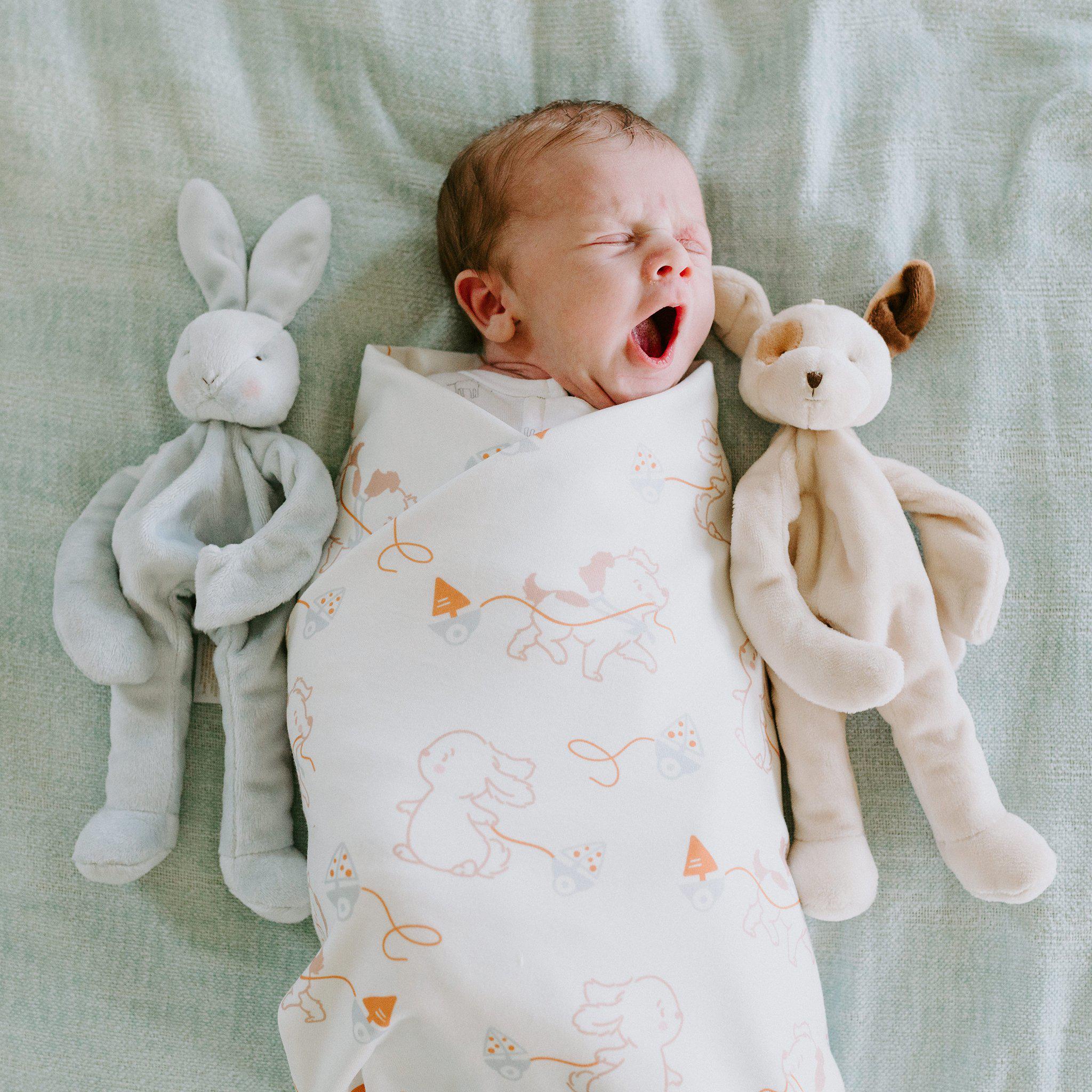 RETIRED - Newborn Baby Bud & Skipit Bundle Box