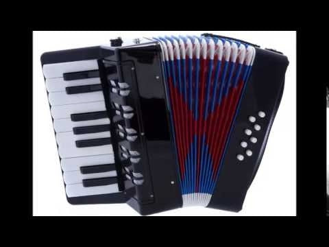 Accordion, Musical Instrument, Wearable & Adjustable Belt