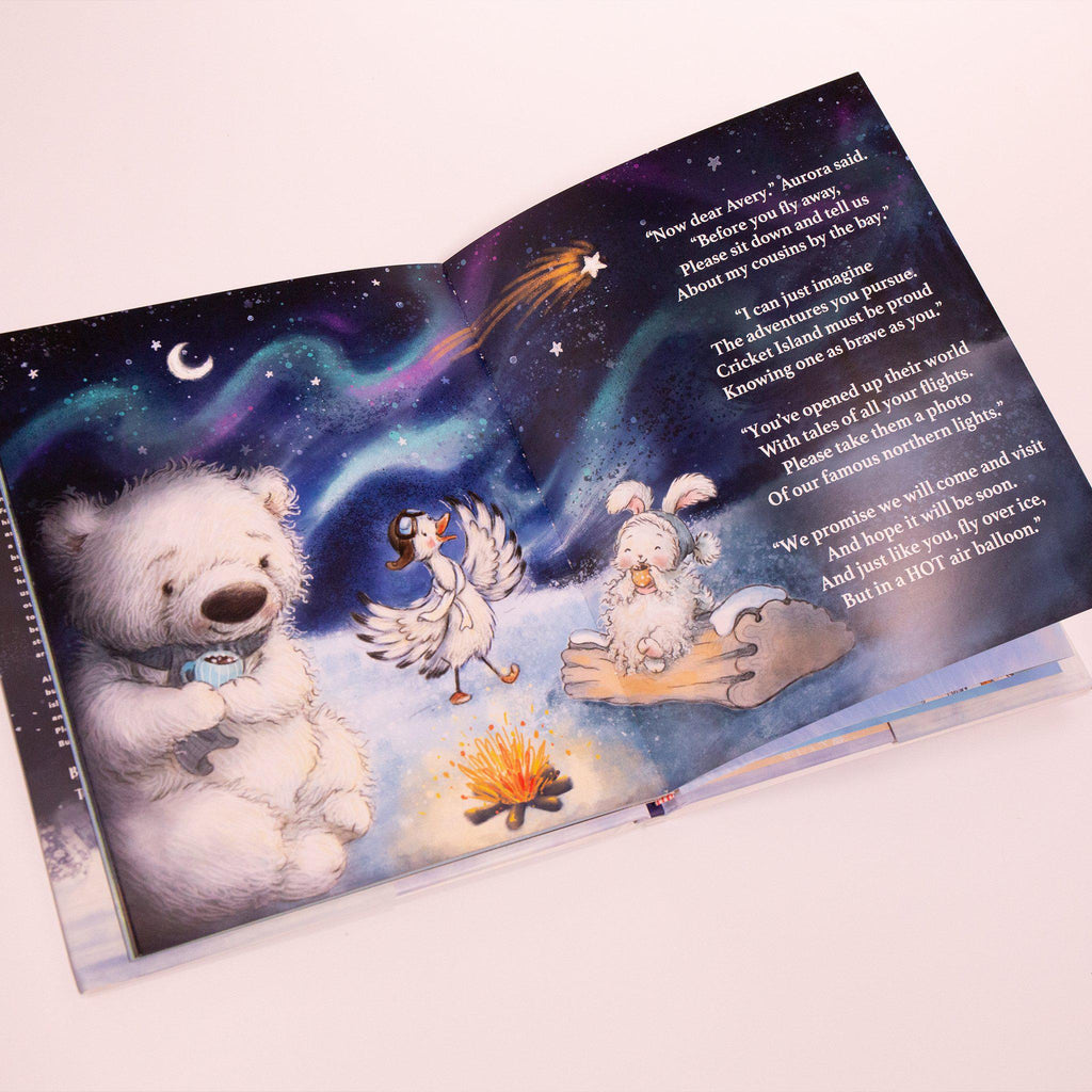 RETIRED - Avery The Aviator's Arctic Adventures Gift Set